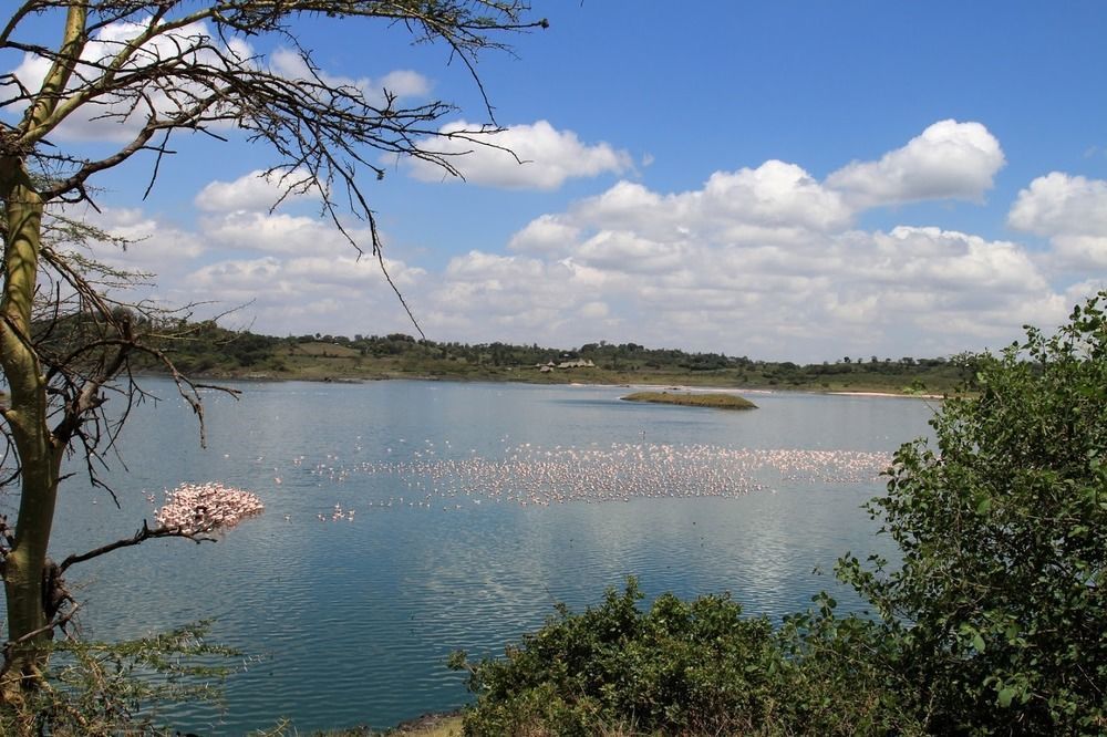 Lodge Original Maasai - Africa Amini Life Engare Nanyuki